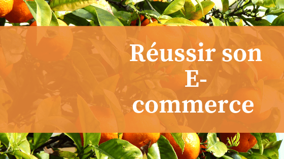 Réusir son E-commerce
