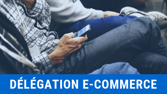 Delegation E-commerce