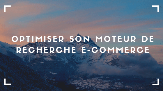 optimiser moteur de recherche interne