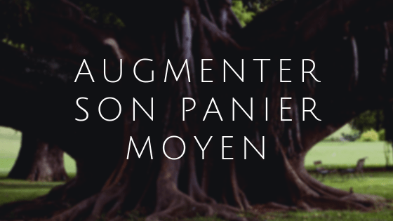 Augmenter son panier moyen E-commerce