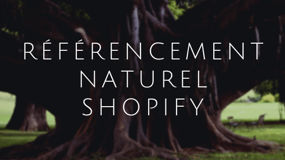 SEO et Shopify