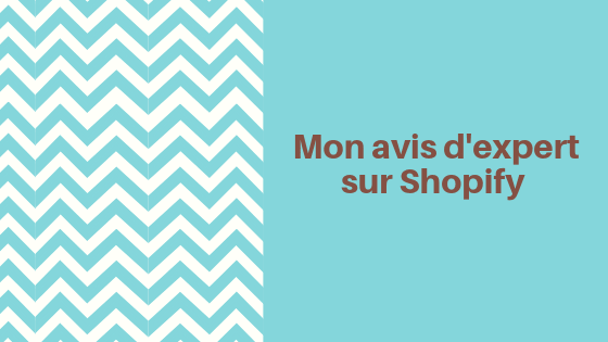 Avis expert Shopify