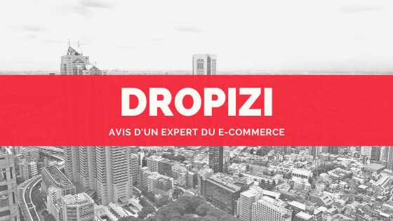 Avis Expert Dropizi