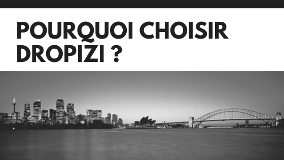 Pourquoi choisir Dropizi ?