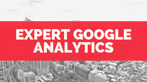 Expert Google Analytics